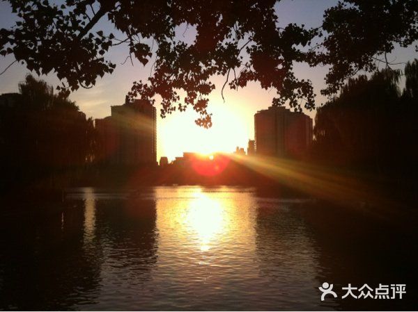 紫竹院公园冰场图片
