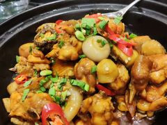 -新雅粤菜馆(南京东路店)