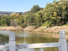 -济南国际园博园