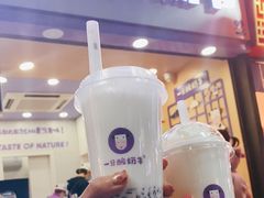 原味酸奶紫米露-一只酸奶牛(八一路店)