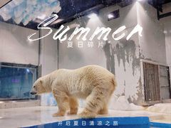 -大连圣亚海洋世界