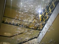 大堂装饰-郑州正方元国际酒店