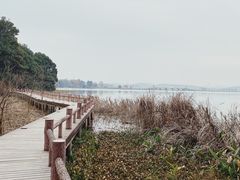 -东湖落雁景区