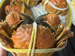 -七的湖·江南蟹舫·阳澄湖农家菜(蟹舫苑店)
