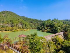 -广州白江湖森林公园