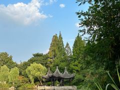 -红梅公园