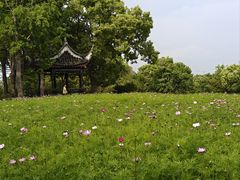 -韩湘水博园