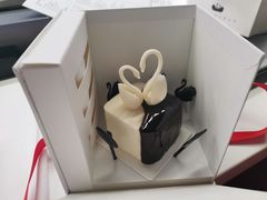 -BLACKSWAN黑天鹅(环球店)