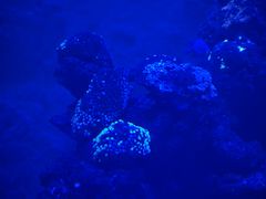 -华夏文旅西安度假区