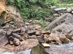 -姑婆山旅游区