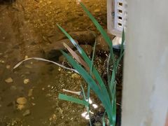 -邈墨茶馆(凤起路店)