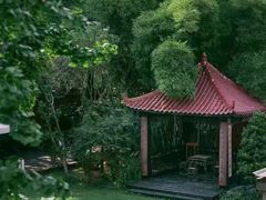 -翠园十八号庭院餐厅