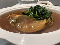 -沈灶河豚宴·河豚融合餐厅(汉中路店)