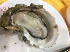 -蚝专家(北滘店)