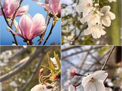 -艾山风景名胜区