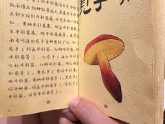 -滇野云南野生菌餐厅(陕西南路店)