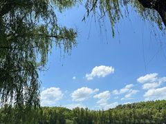 -昆山城市生态森林公园