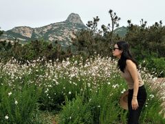 -威海大乳山景区