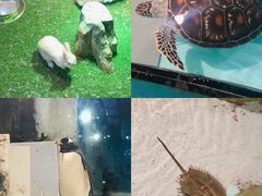 -台州海洋世界