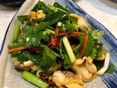 小葱拌黄蚬子-渔娘渔家丹东海鲜(东直门店)