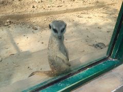 -秦皇岛野生动物园