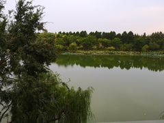 -上海怡沁园度假酒店