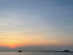 -招商蛇口邮轮母港(观光客运)