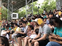 -清迈夜间动物园