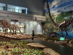 -自贡恐龙博物馆