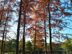 -颐景园