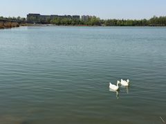 -绿堤公园