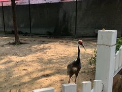 -秦皇岛野生动物园