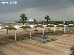 -碧海金沙