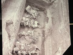 -秦始皇帝陵博物院-丽山园