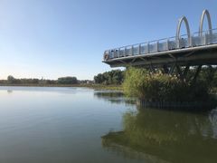 -大兴滨河森林公园