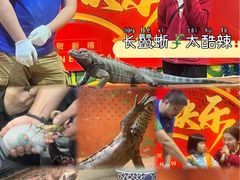 -上海大自然野生昆虫馆(东方明珠·爬宠昆虫探索中心)