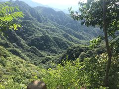 -大岭沟猕猴桃谷风景区
