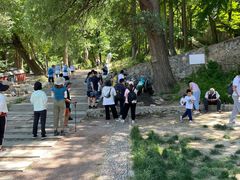 -阳台山自然风景区