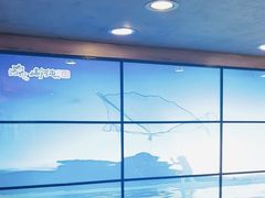 -山河屯铁锅炖鲜鹅·东北菜(开发区一店)
