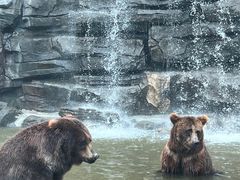 -北京野生动物园