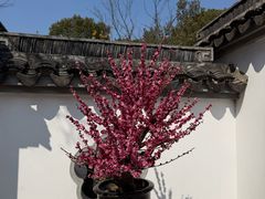 -无锡梅园公园