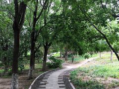 -OCT华侨城·北京