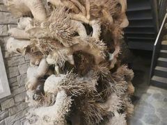 -奥加美术馆