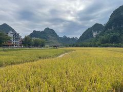 -靖西鹅泉风景区