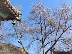 -潭柘寺景区