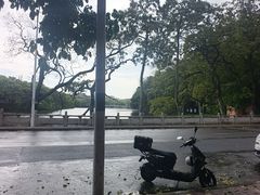 -谢怀亮芝麻茶