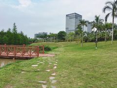 -聚龙山公园
