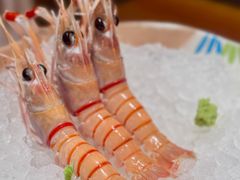 -月龍吟(朝龙汇店)