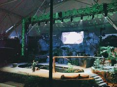 -夜间野生动物园