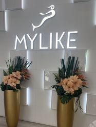 -深圳美莱医疗美容医院